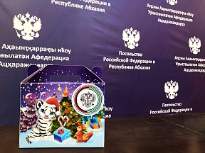 Посольство передало соотечественникам детские новогодние подарки